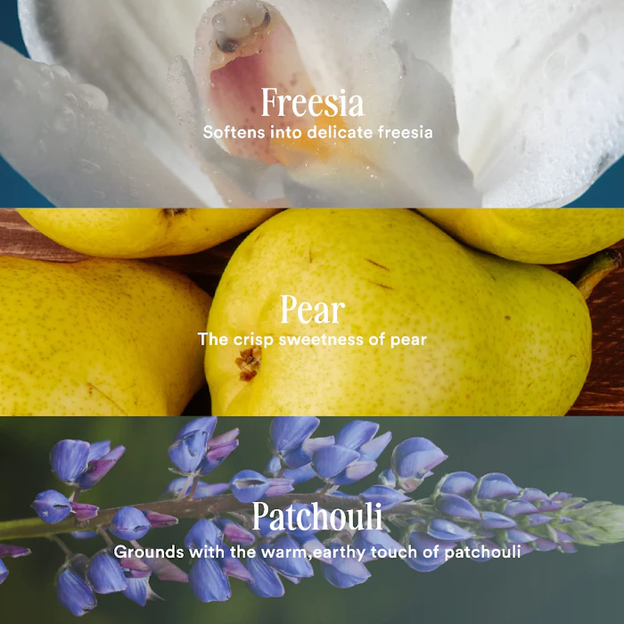 YN Perfumery ON CLOUD NINE Translation missing: id.activerecord.decorators.item_part_image/alt