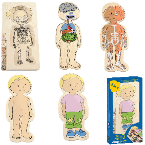 Beleduc Layer Puzzles Your Body Translation missing: id.activerecord.decorators.item_part_image/alt
