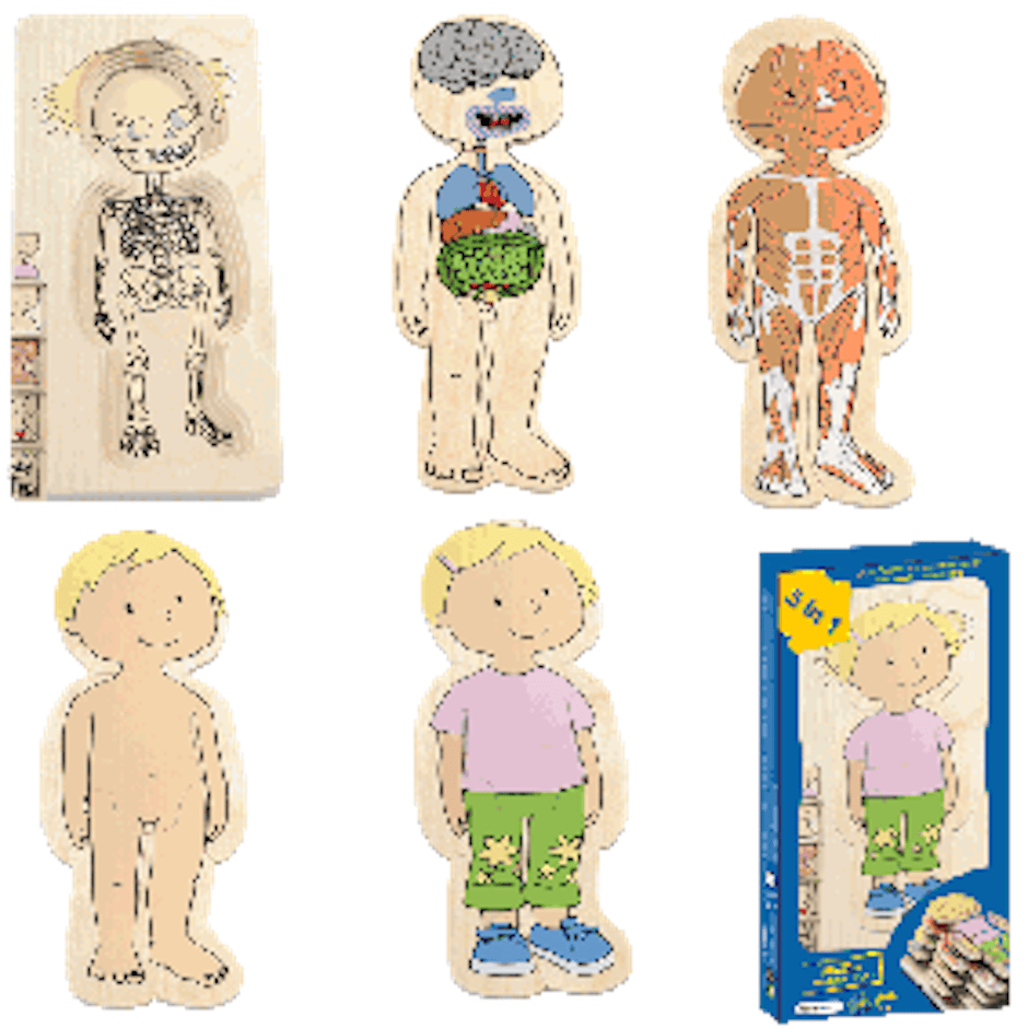 Beleduc Layer Puzzles Your Body Translation missing: id.activerecord.decorators.item_part_image/alt