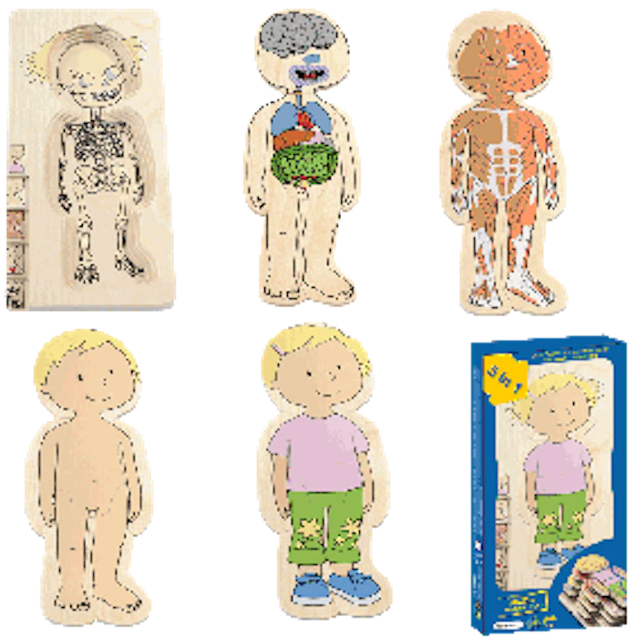 Beleduc Layer Puzzles Your Body Translation missing: id.activerecord.decorators.item_part_image/alt