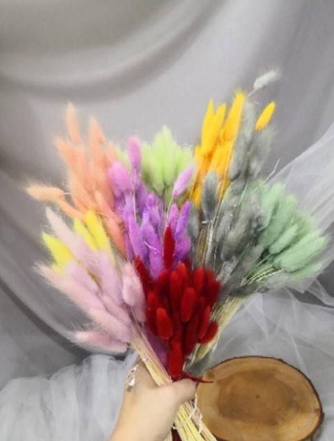 Lagurus Bunny Tail Dried Flower Translation missing: id.activerecord.decorators.item_part_image/alt