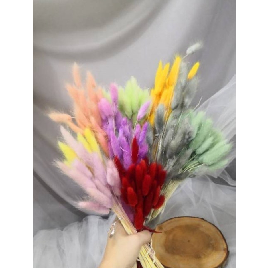 Lagurus Bunny Tail Dried Flower Translation missing: id.activerecord.decorators.item_part_image/alt