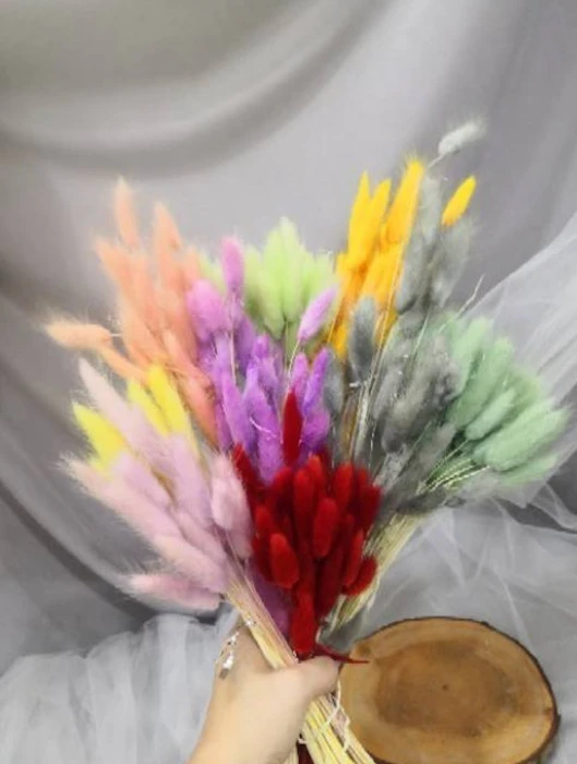 Lagurus Bunny Tail Dried Flower Translation missing: id.activerecord.decorators.item_part_image/alt