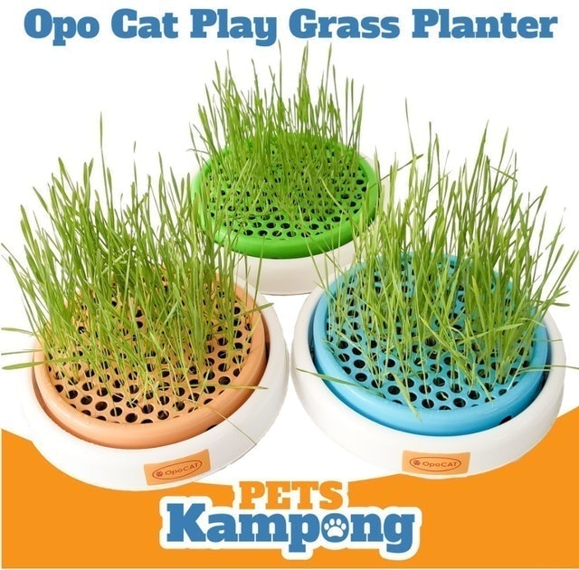 Opo CAT  Cat Grass Planter Translation missing: id.activerecord.decorators.item_part_image/alt