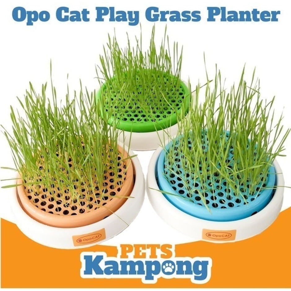 Opo CAT Cat Grass Planter Translation missing: id.activerecord.decorators.item_part_image/alt