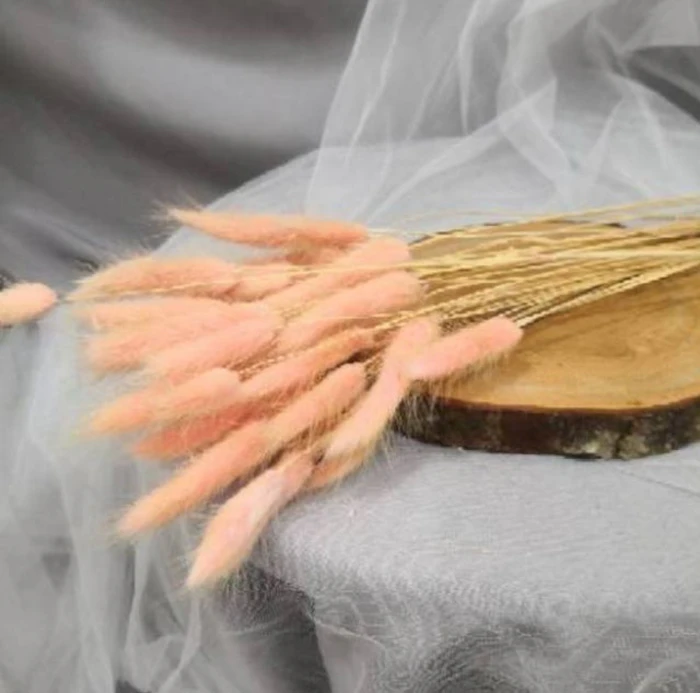 Lagurus Bunny Tail Dried Flower Translation missing: id.activerecord.decorators.item_part_image/alt