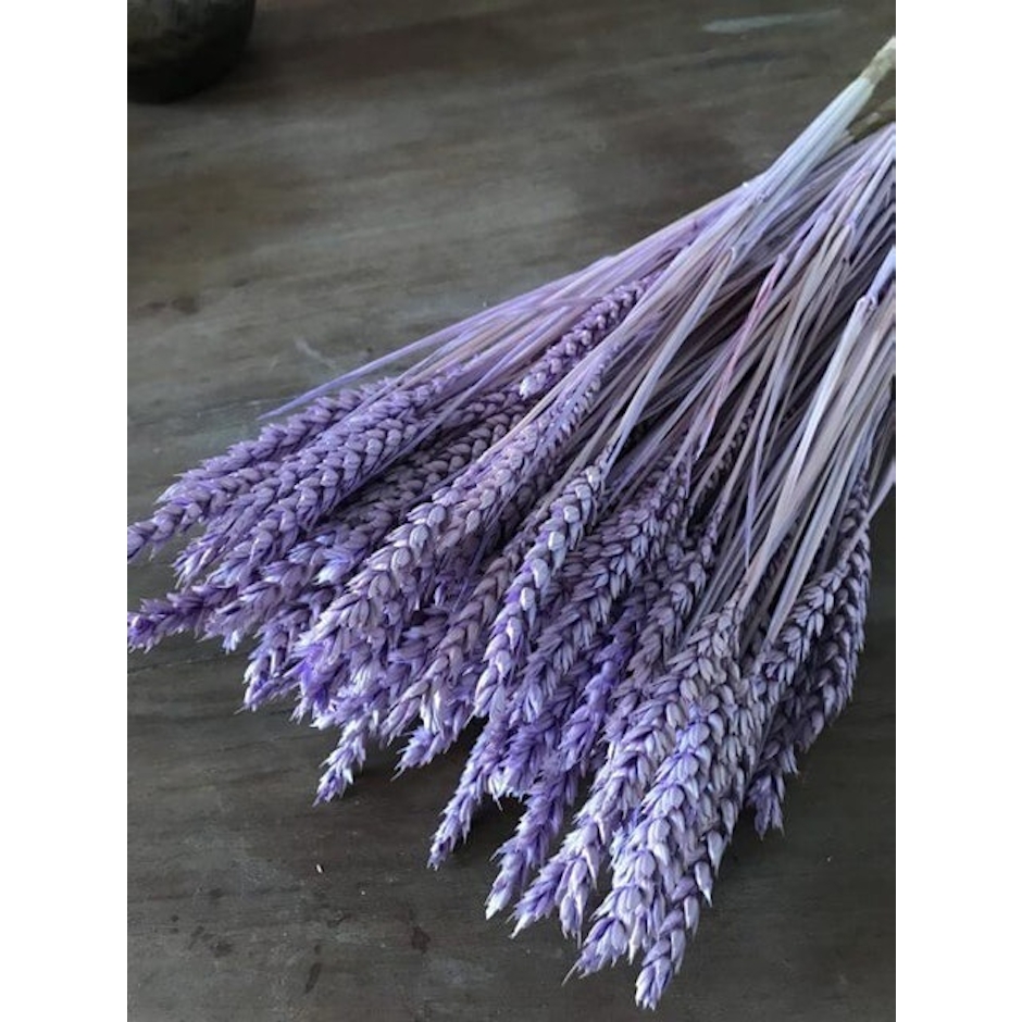 Dried Flower Purple Wheat Flowers Translation missing: id.activerecord.decorators.item_part_image/alt