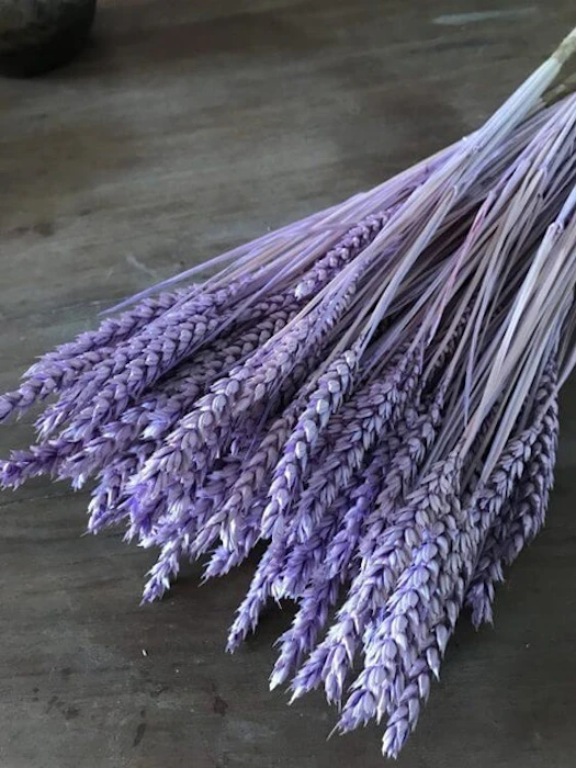 Dried Flower Purple Wheat Flowers Translation missing: id.activerecord.decorators.item_part_image/alt