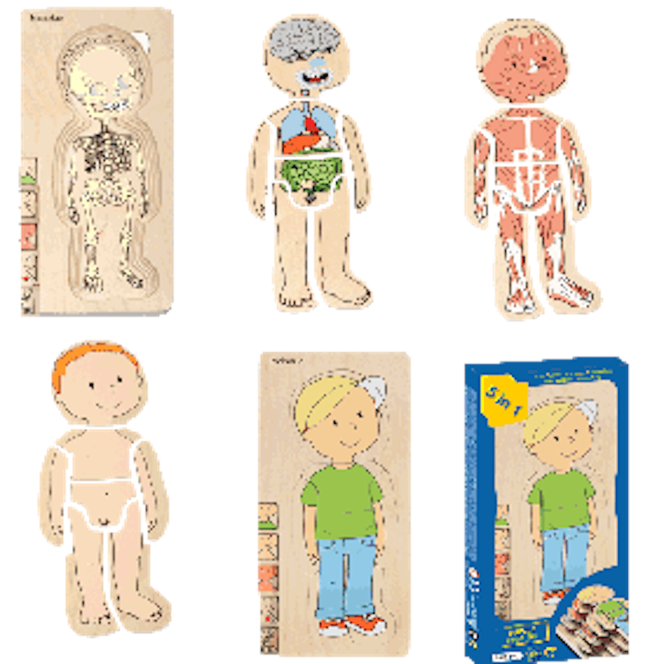 Beleduc Layer Puzzles Your Body Translation missing: id.activerecord.decorators.item_part_image/alt