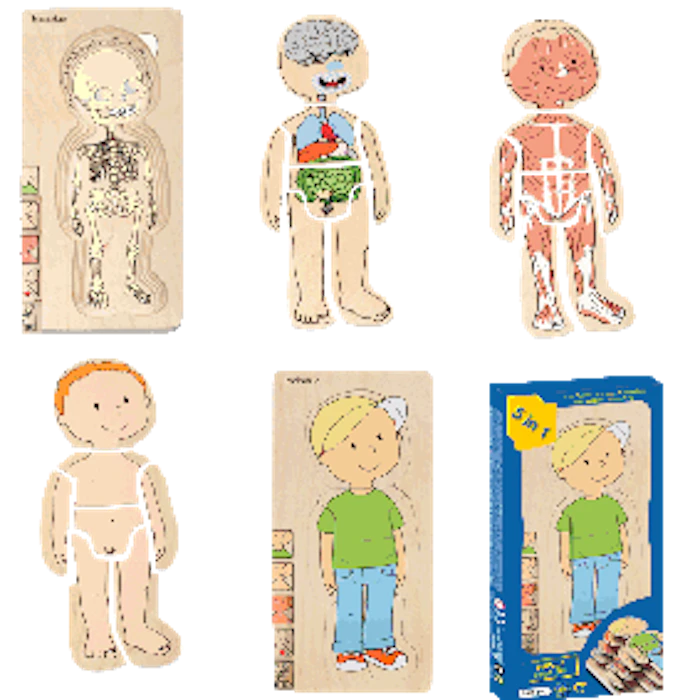 Beleduc Layer Puzzles Your Body Translation missing: id.activerecord.decorators.item_part_image/alt