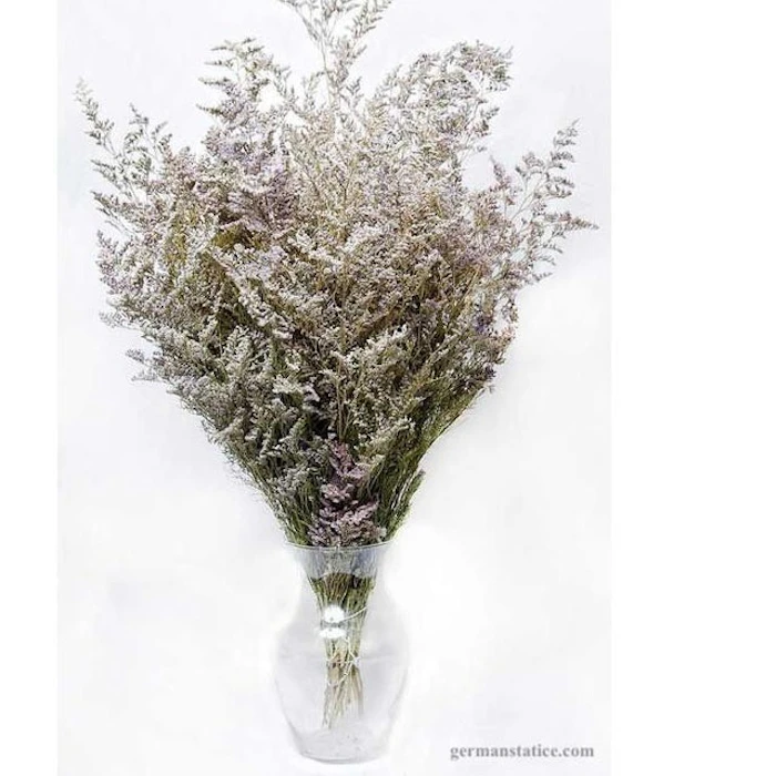 botanikal_decor.id Dried Flower Caspea Translation missing: id.activerecord.decorators.item_part_image/alt