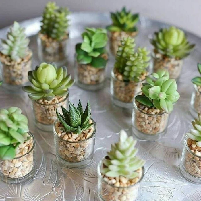 Terrarium Gelas Kaktus Translation missing: id.activerecord.decorators.item_part_image/alt