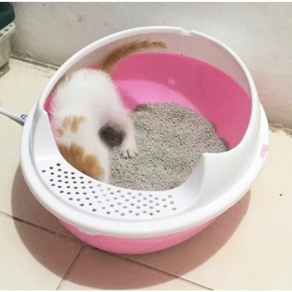 Opo CAT Bak Pasir Starter Kit Translation missing: id.activerecord.decorators.item_part_image/alt