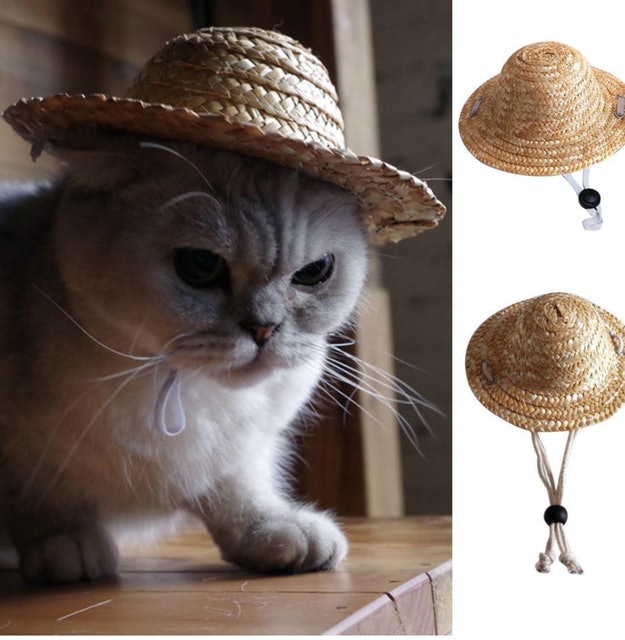 Kostum Topi Jerami Translation missing: id.activerecord.decorators.item_part_image/alt