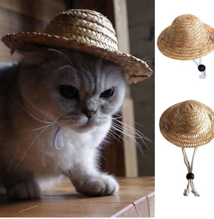 Kostum Topi Jerami Translation missing: id.activerecord.decorators.item_part_image/alt
