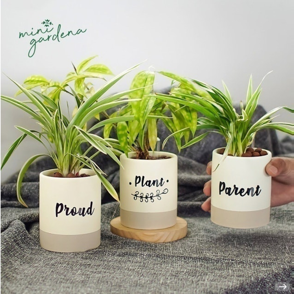 Minigardena Deco Gift Set Mini Garden Translation missing: id.activerecord.decorators.item_part_image/alt