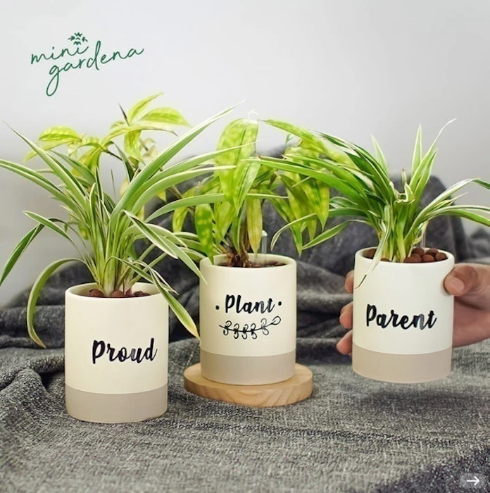 Minigardena Deco Gift Set Mini Garden Translation missing: id.activerecord.decorators.item_part_image/alt