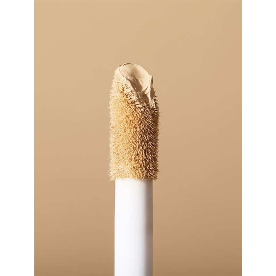 BLP Face Concealer Translation missing: id.activerecord.decorators.item_part_image/alt