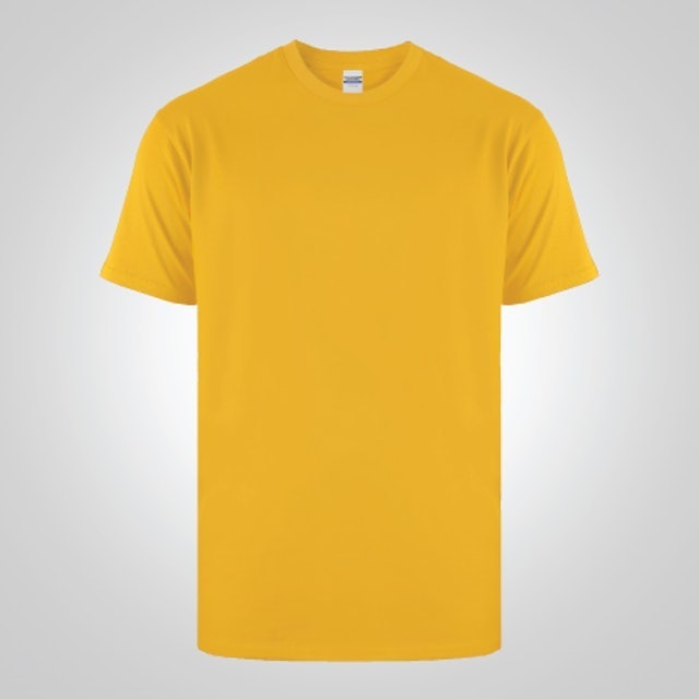 New States Apparel  Heavyweight T-shirt  Translation missing: id.activerecord.decorators.item_part_image/alt