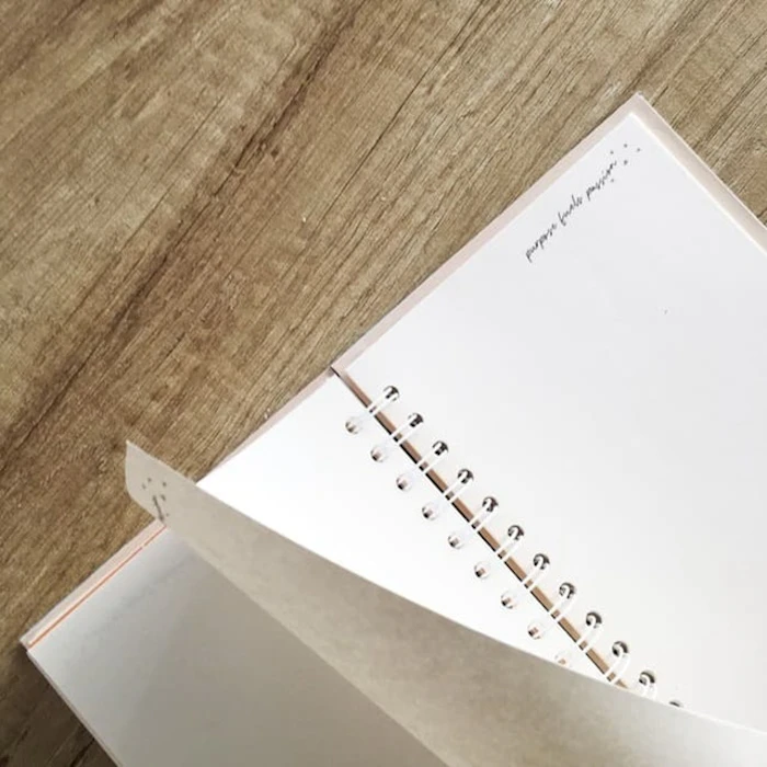 Mr&Mrs Paperie Daily Planner Sunny Translation missing: id.activerecord.decorators.item_part_image/alt