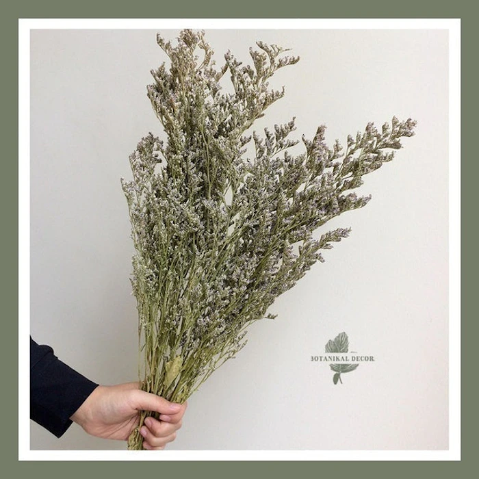 botanikal_decor.id Dried Flower Caspea Translation missing: id.activerecord.decorators.item_part_image/alt