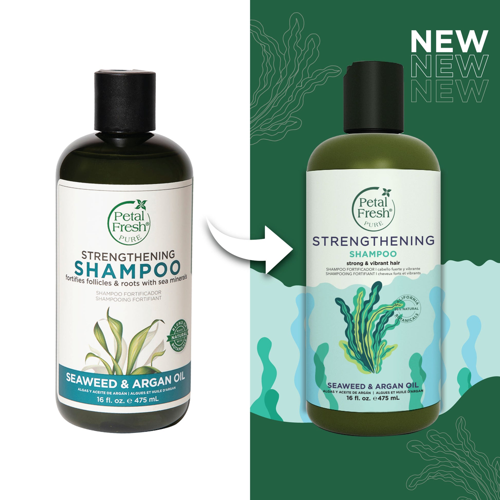 Petal Fresh Pure Strengthening Shampoo with Seaweed and Argan Oil 3