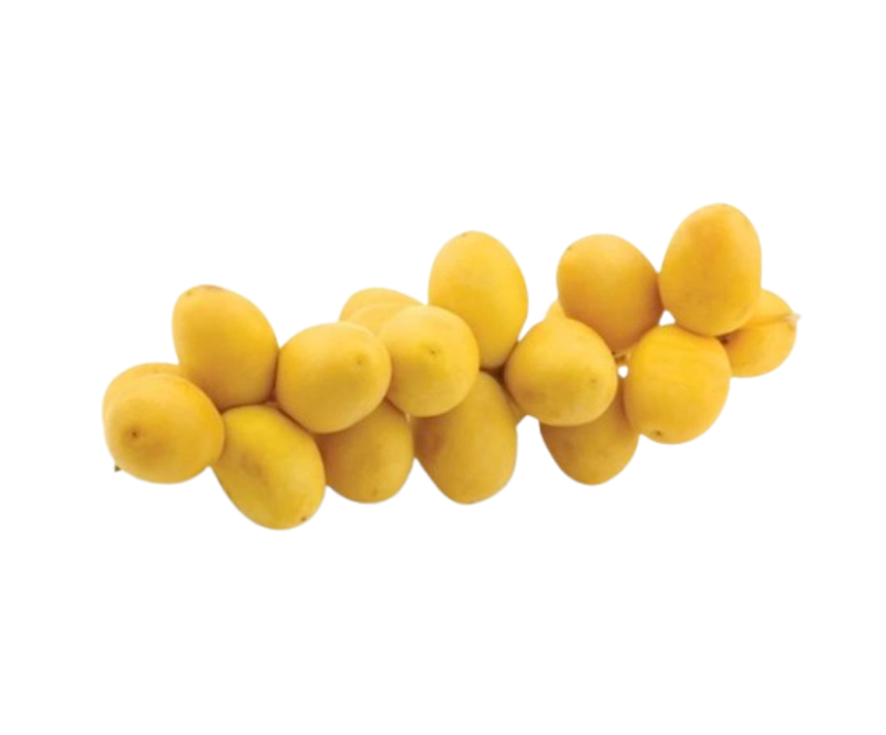 QORMA.QU Kurma Muda 1