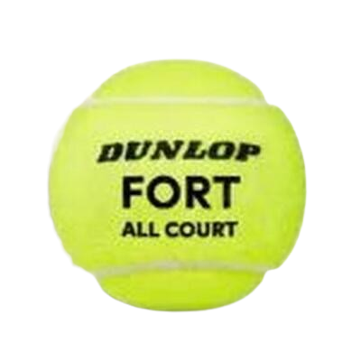 Dunlop Fort All Court TS 
