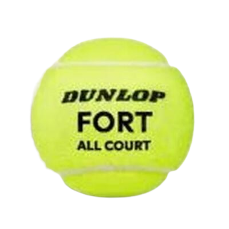 Dunlop Fort All Court TS 1