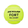 Sumitomo Rubber Industries Dunlop Fort All Court TS 1