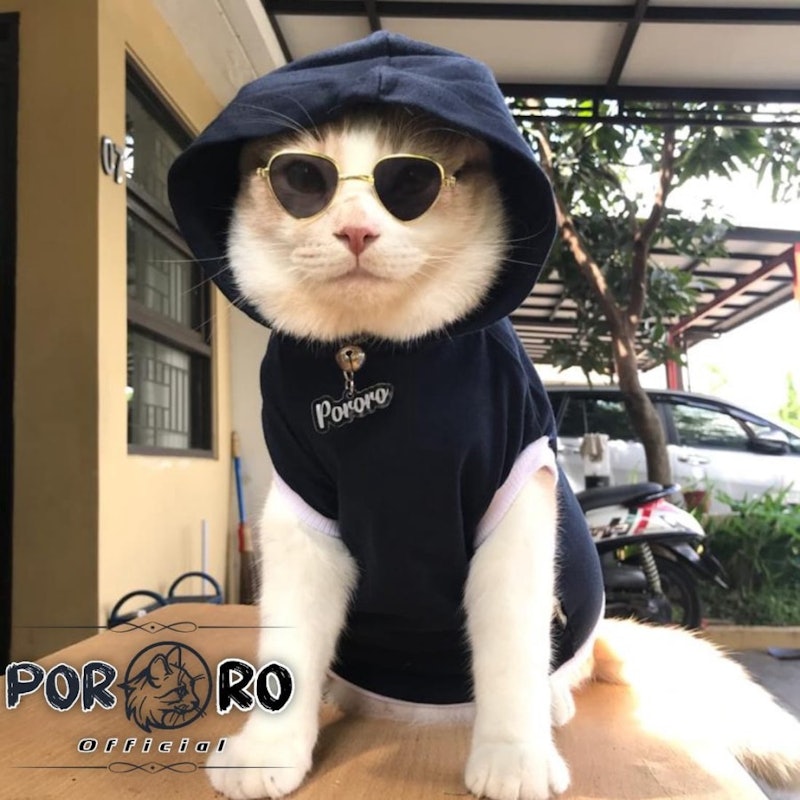 Baju Kucing Hoodie 2
