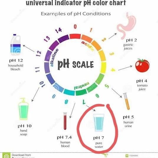 Automova Detailing Indonesia Automova Shampo pH Balance