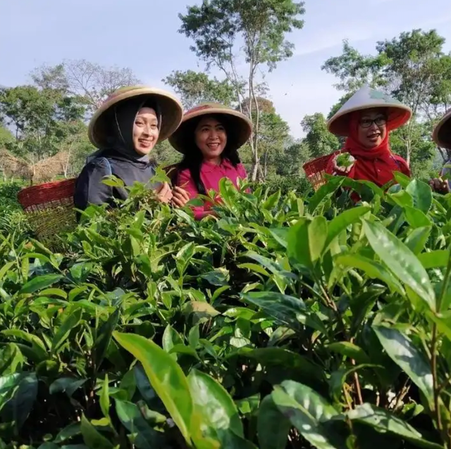Wisata Agro Wonosari 4