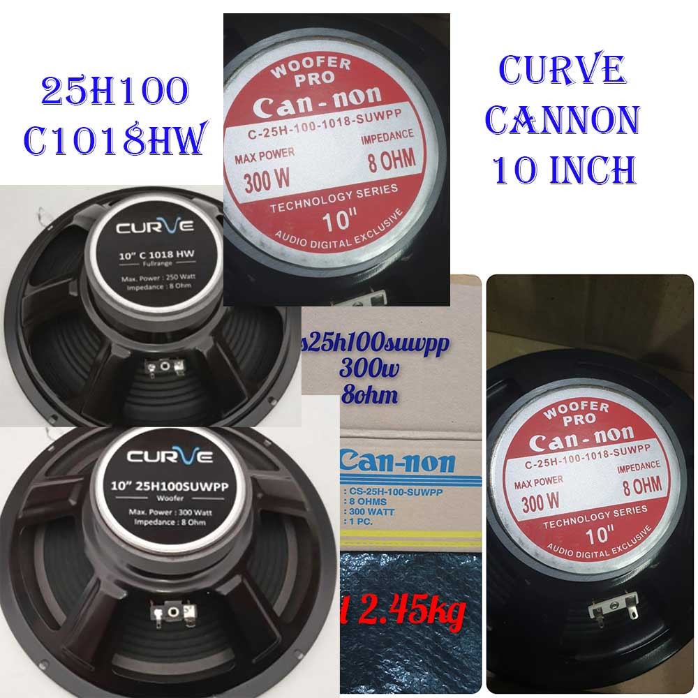 Sinar Baja Electric Curve Speaker Woofer 10" 25H100SUWPP