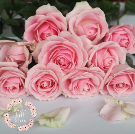  Bunga Mawar Potong Asli