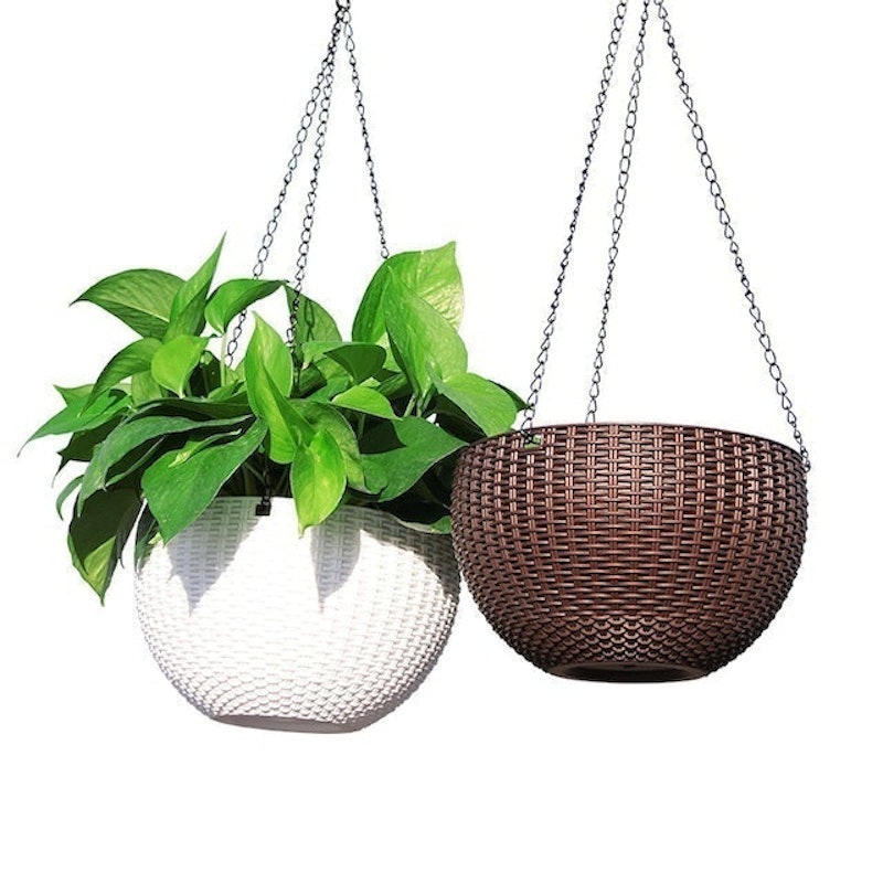 Pot Gantung Murah Daun Rambat 1