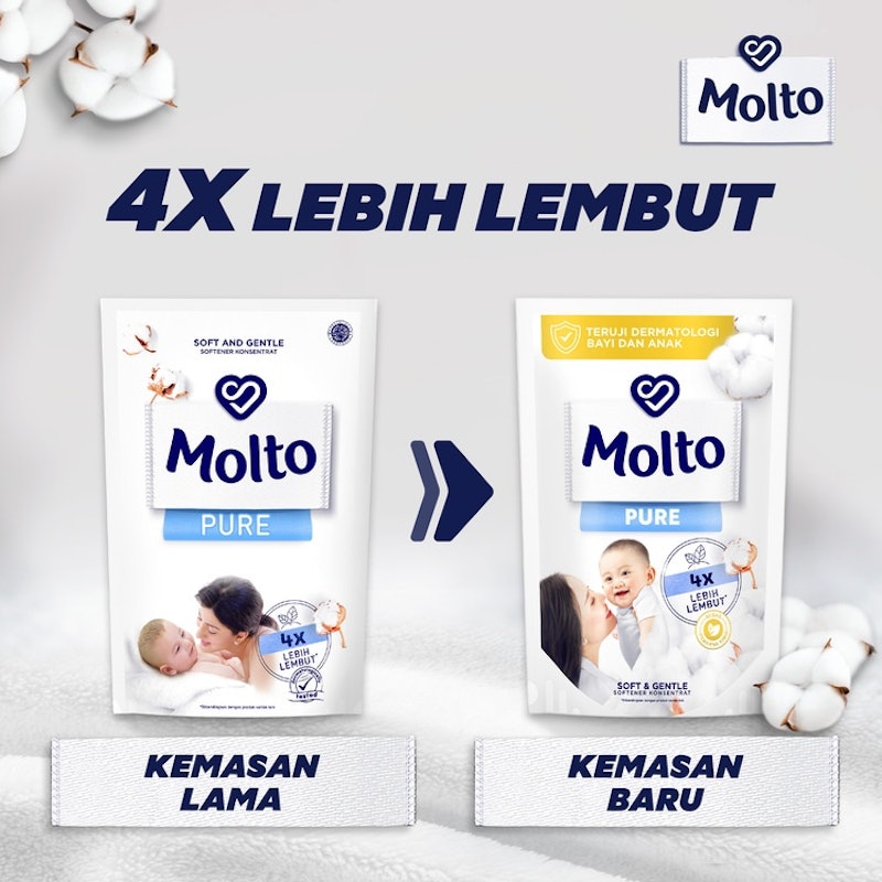 Molto Pure 2
