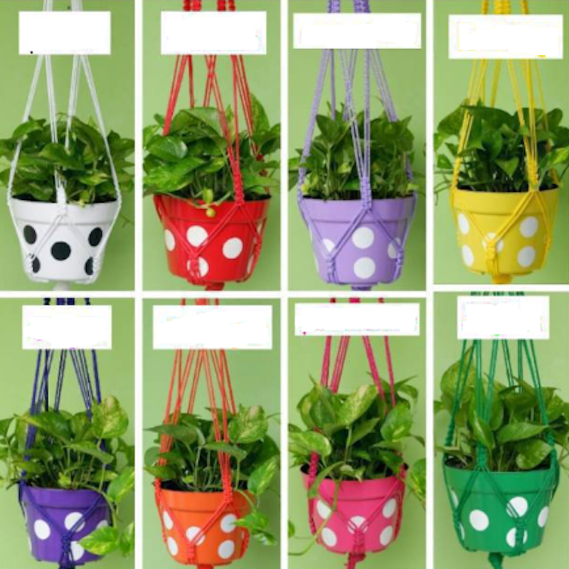 Pot Polka Set 3