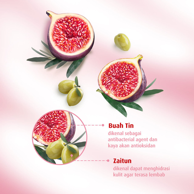 Lifebuoy Tin Zaitun Body Wash