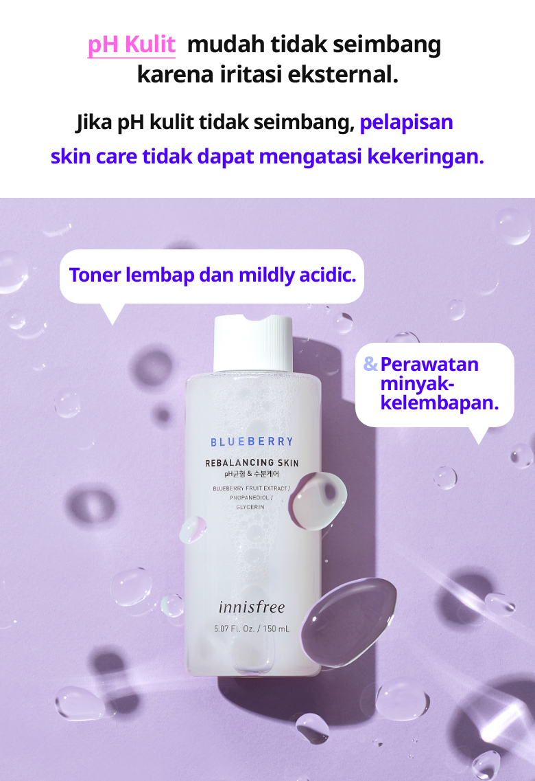 Blueberry Rebalancing Skin 2