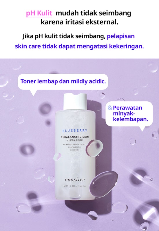 Blueberry Rebalancing Skin 2
