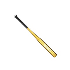 SPEEDS Stick Bat 28 inch