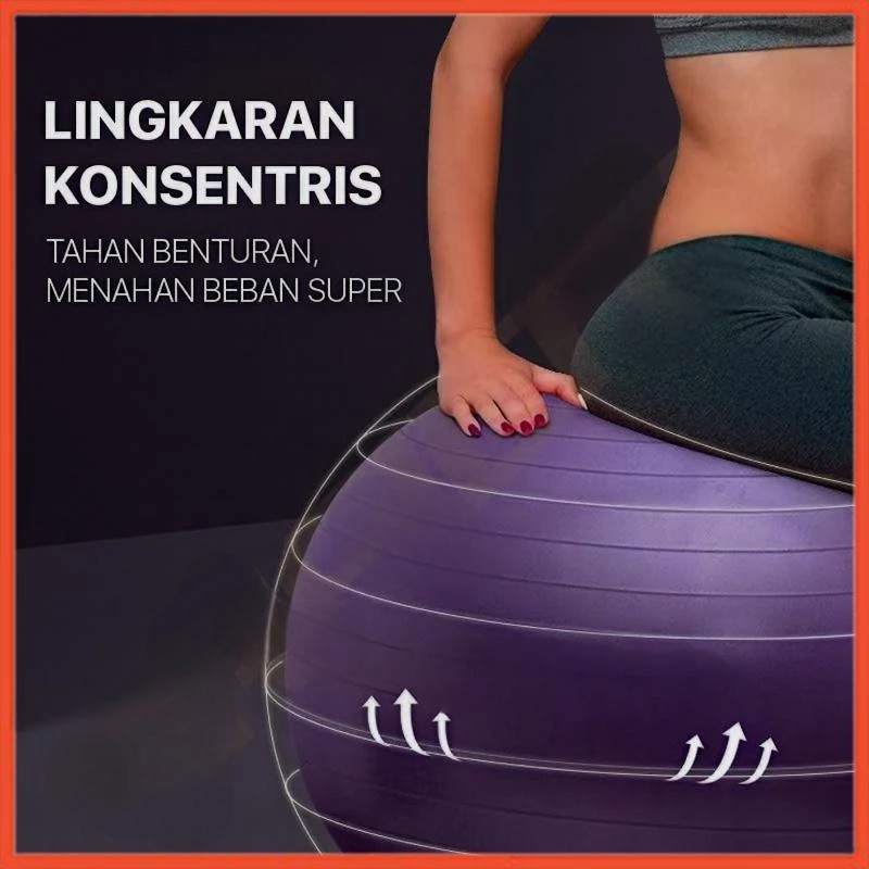Hoptech Gym Ball Fitness 2