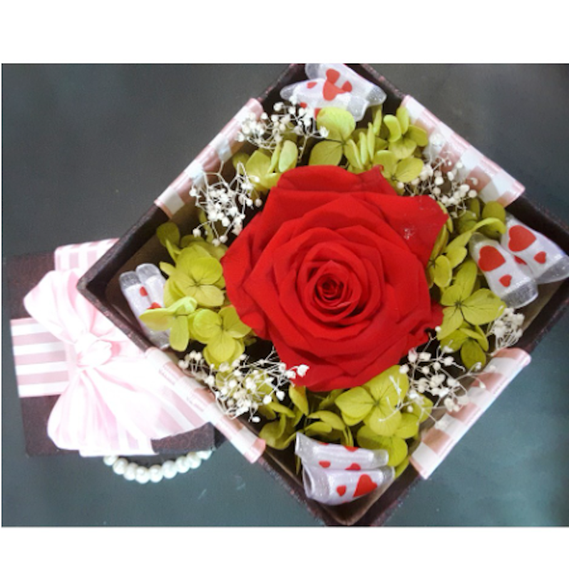 Bloom Box 3