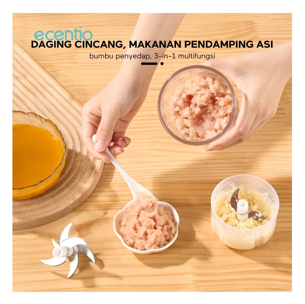 Dachin Etech Global ecentio Chopper Mini Kaca 2in1