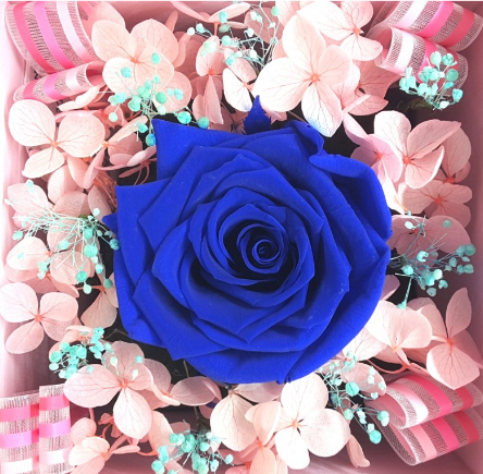 Bloom Box 2