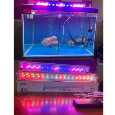 Kiseki Direct Current (DC) Fish Tank Lamp CK-SZ