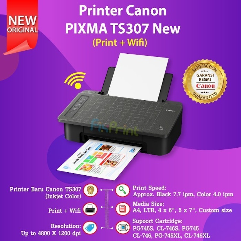 PIXMA TS307 2