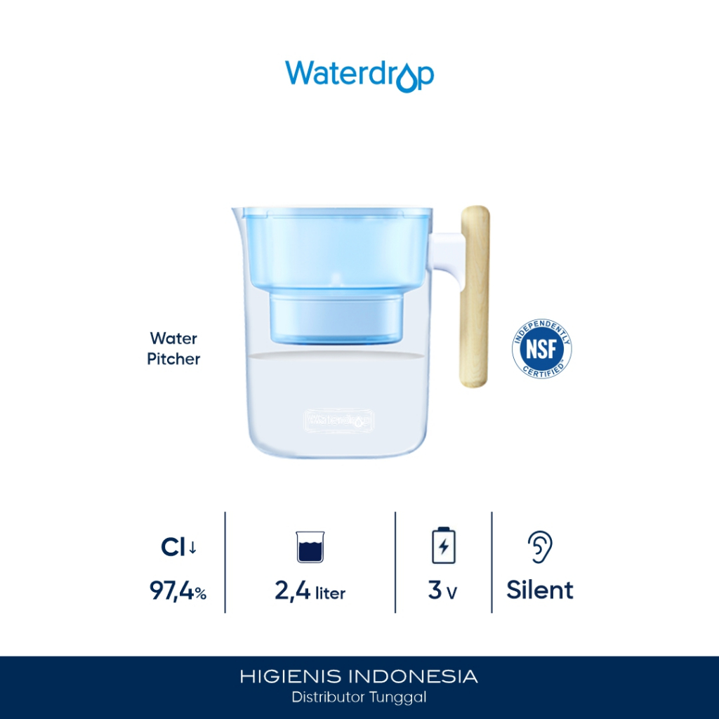 Waterdrop Chubby Water Pitcher 2