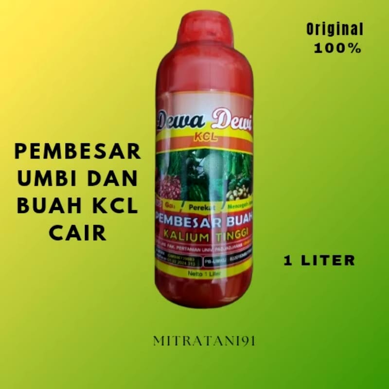 Mitra Tani Abadi Jaya Dewa Dewi KCL Cair